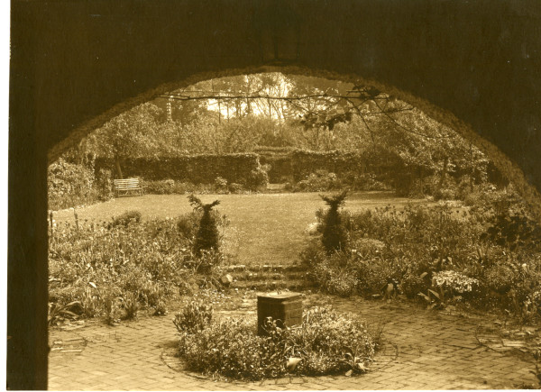 LBM2547 image LBM2547