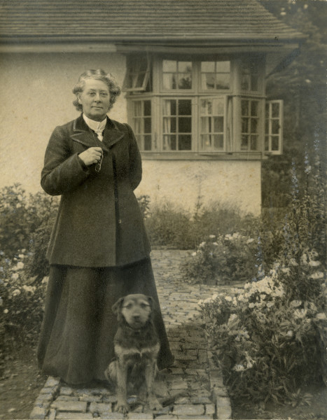 LBM2786.jpg LBM2786 (ID 37272)