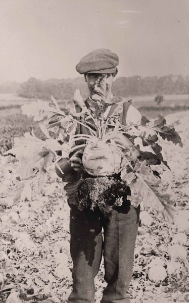 Farming.jpg Farming (ID 37266)