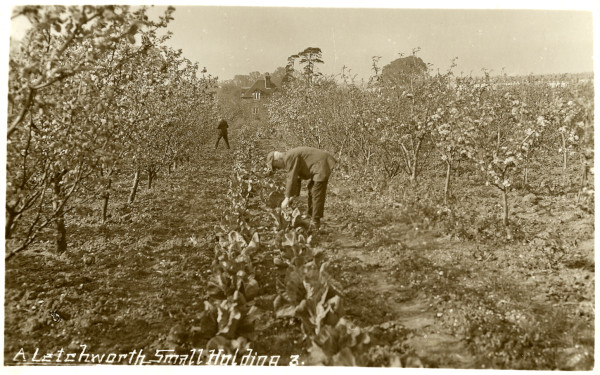 LBM4340.11 image LBM4340.11