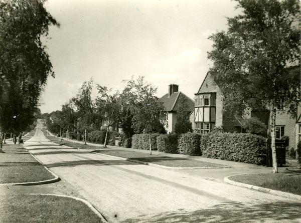 LBM849 image LBM849